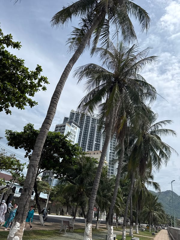Nha Trang beachfront stroll, fishing pier, and a Pikachu bus