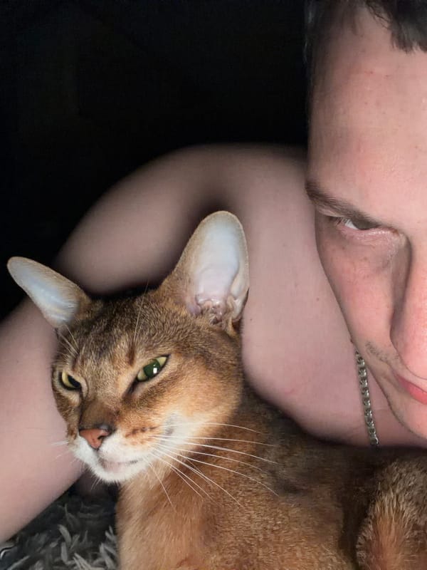 Cat owners share tender moments in Chaikovsky, Russia