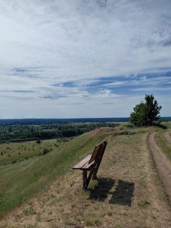 Rustic hillside overlook with benches, swing set, and winding dirt paths