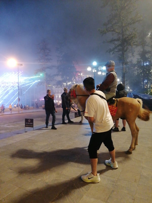 Night market with pony rides, ginseng vendors in Sa Pa