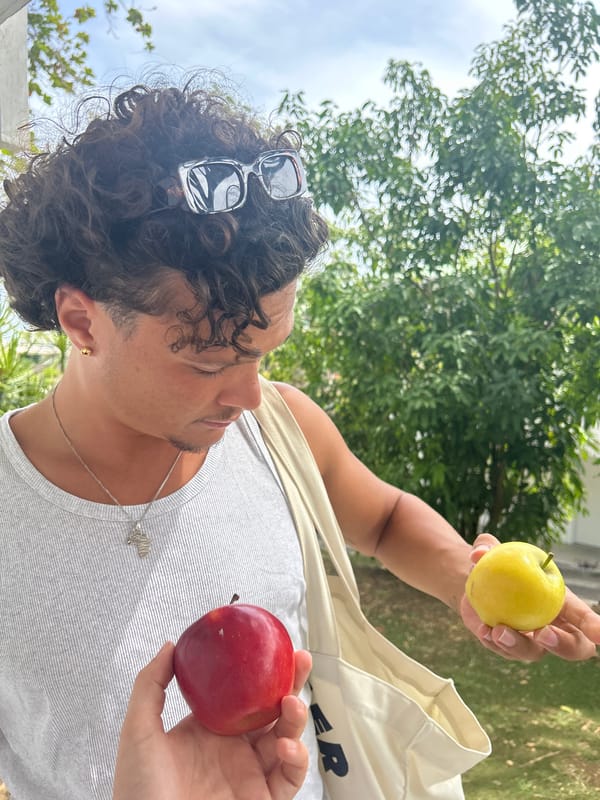 Person holds two different colored apples in Sainte-Anne