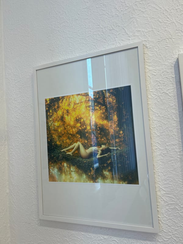Tourist documents art gallery and street scenes in Plovdiv
