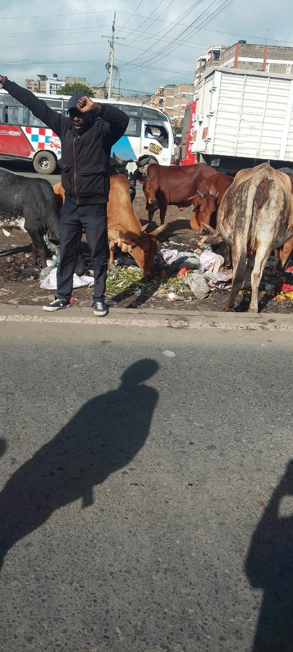 Morning street activity documented across multiple Nairobi neighborhoods