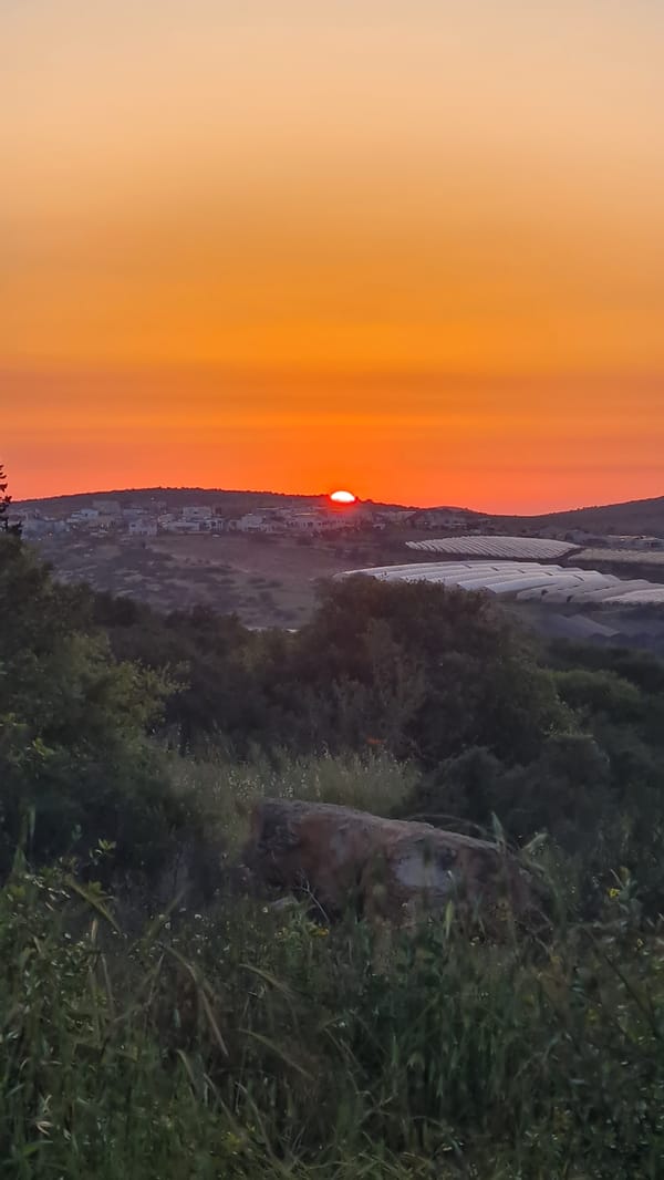 Sunset documented over semi-rural area with wooded terrain