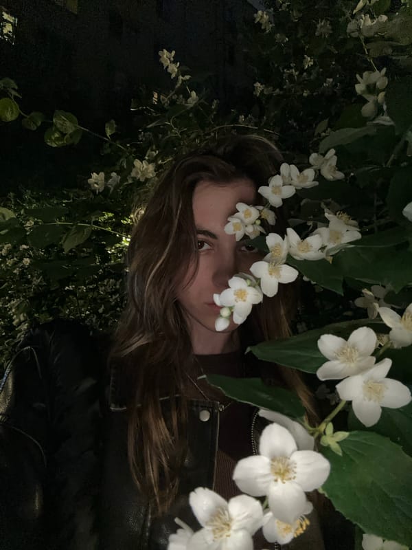 Evening portrait session among jasmine blooms in Moscow