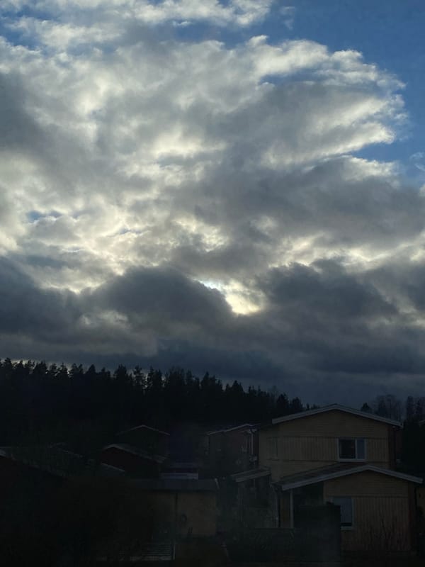 Gray cat spotted in Björklinge home and window reflection