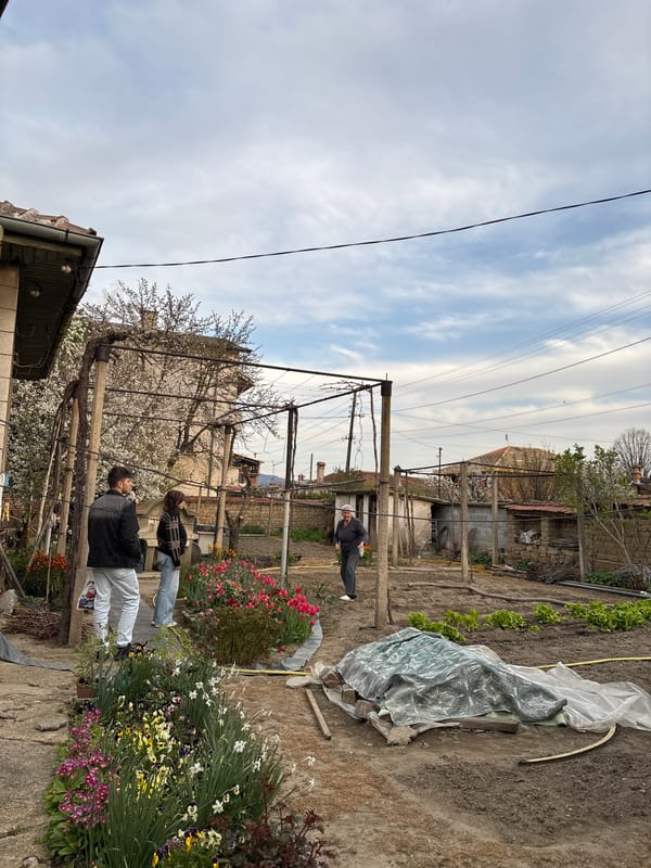 Garden activity documented at residential property in Banya, Bulgaria