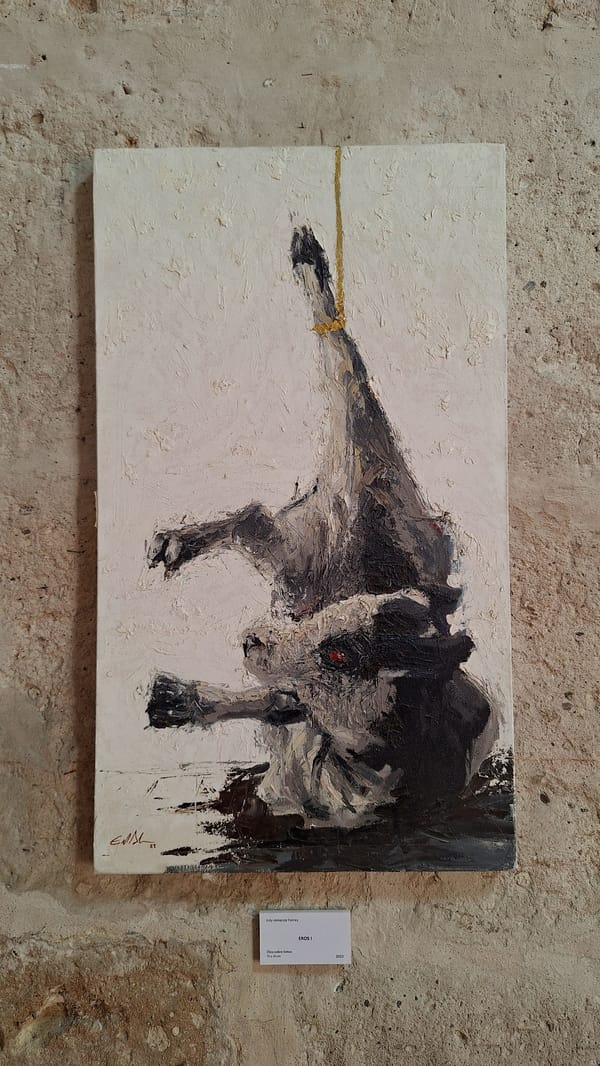 Art exhibition documented by visitor in Arequipa gallery