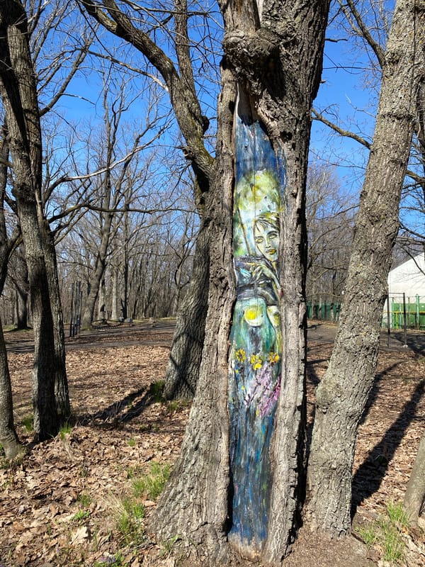 Artistic tree trunk display observed in Ulyanovsk park
