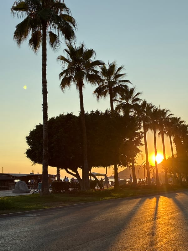 Sunset along Alanya's palm-lined coastal promenade
