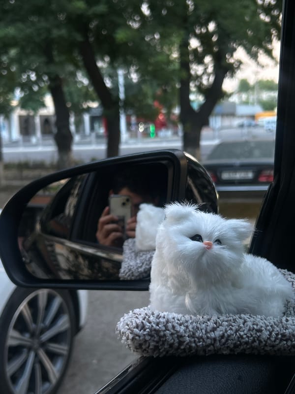 Rainy late-night drive through Tashkent with small roadside moments