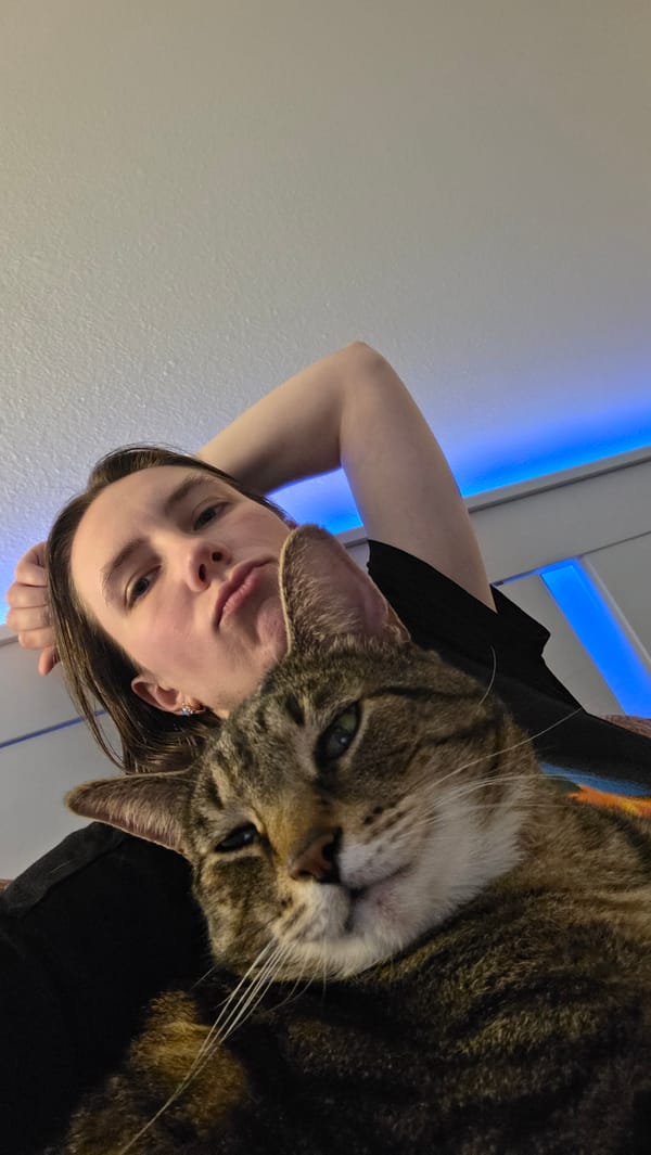 Lazy evening in Portland with a very comfortable tabby cat