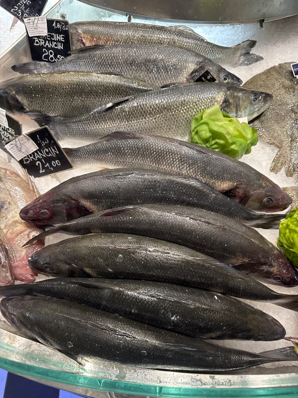 Fresh seafood displayed at Dobrota Montenegro market