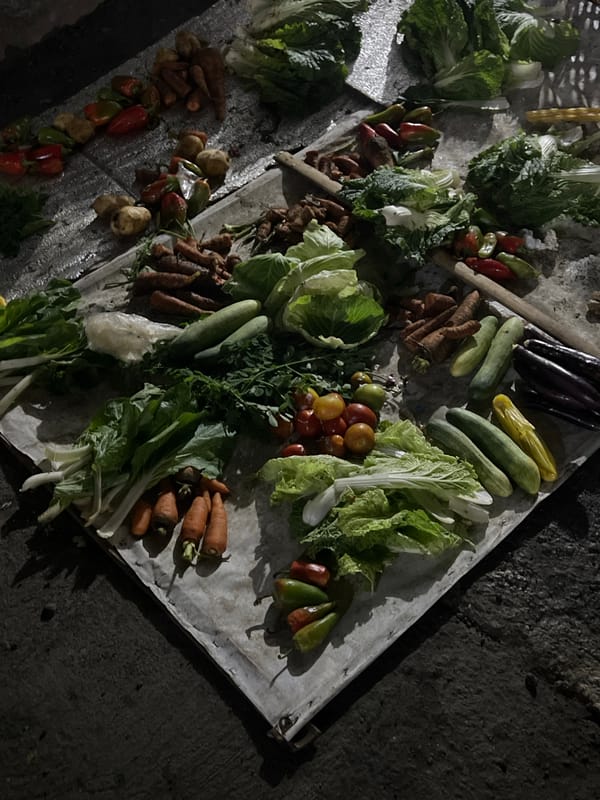 Evening food tour documented across Panabo City markets and eateries