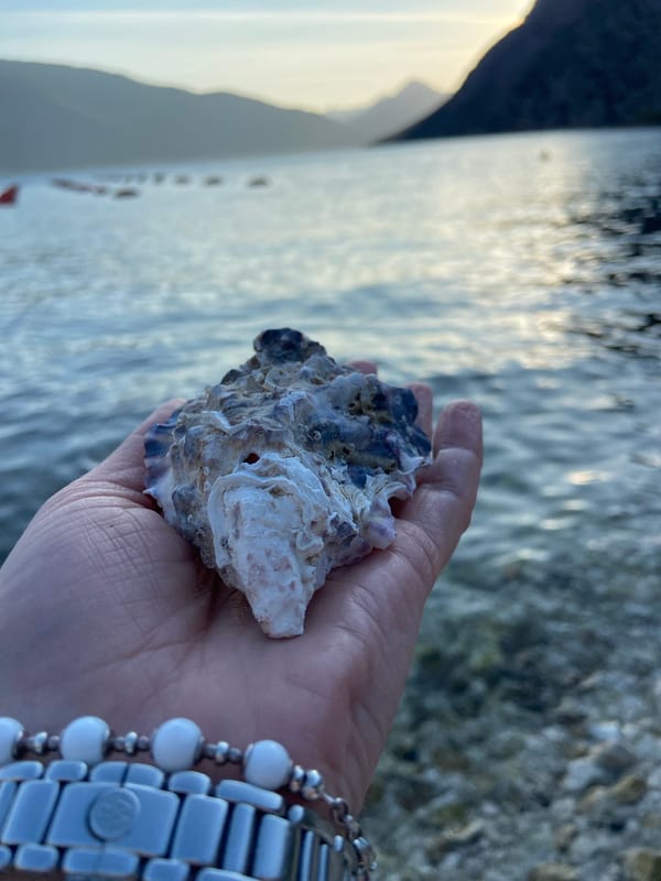 Vintage bicycle spotted at Bay of Kotor waterfront