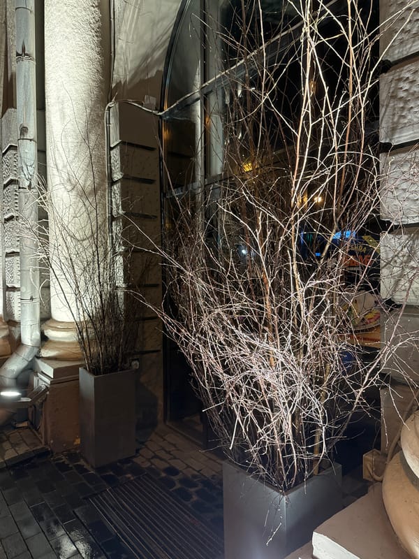 Saddled horse led through Moscow streets at night