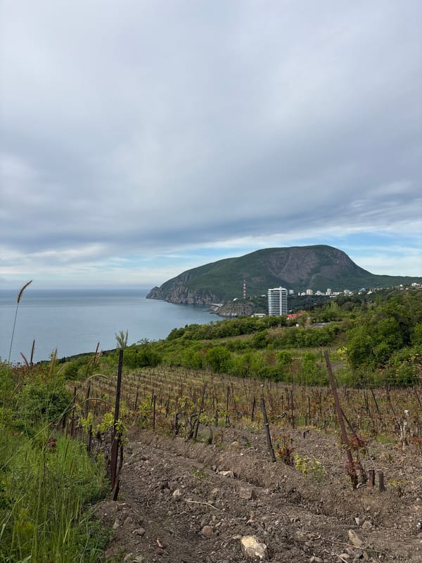 Group takes early morning selfie in Ukrainian coastal vineyard