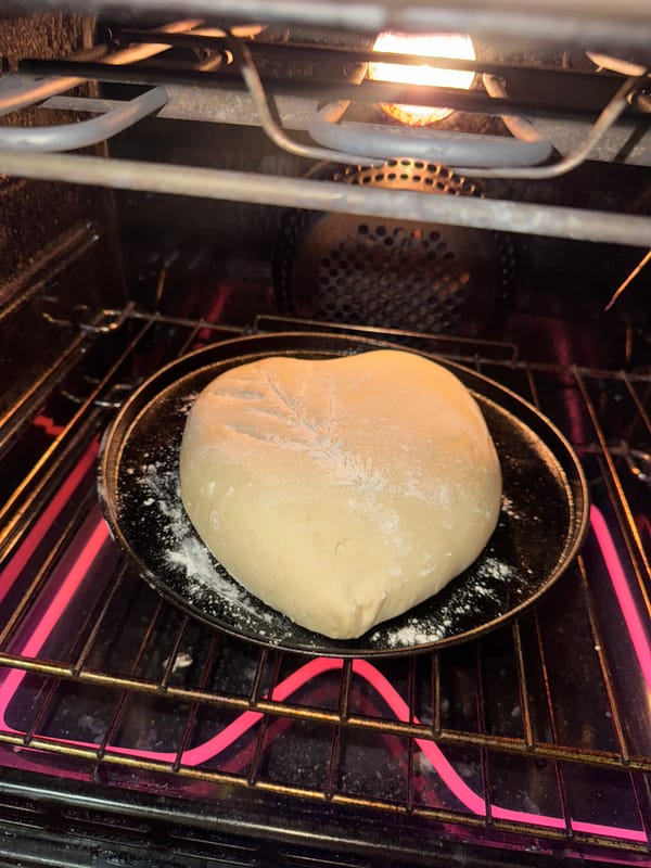 Home baker makes bread, takes flour-covered selfie in Como