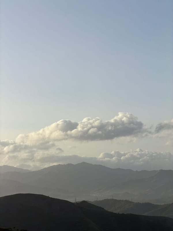 Hillside views across El Cambur's green valley at golden hour