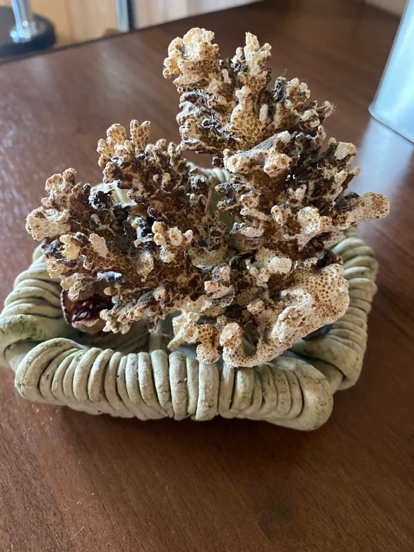Decorative ceramics and curiosities arranged on wooden surfaces in Russia
