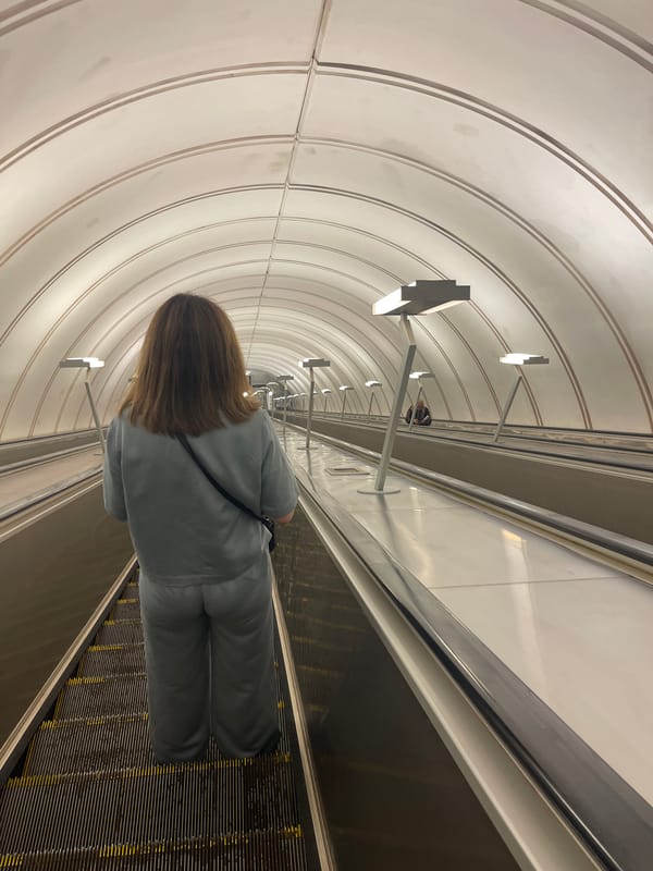 Moscow Metro station documented by witnesses during morning commute