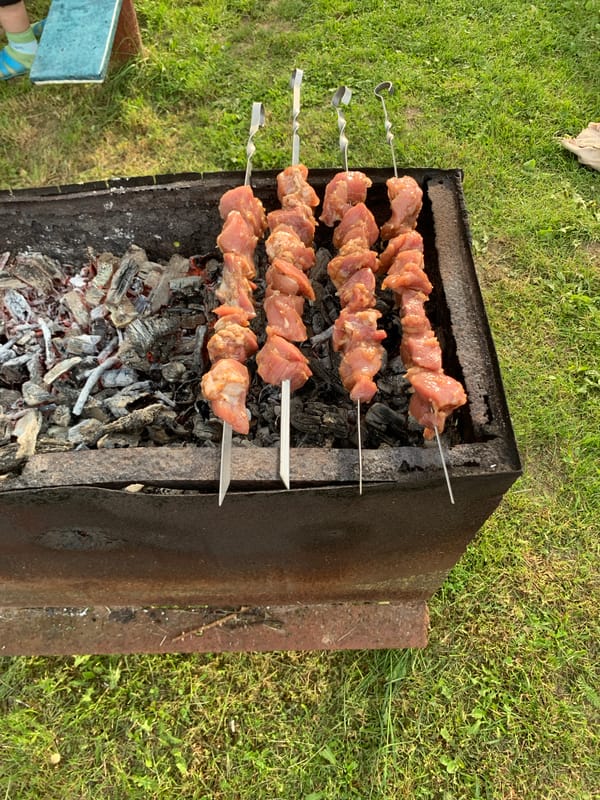 Elderly residents hold outdoor barbecue gathering in rural Belarus