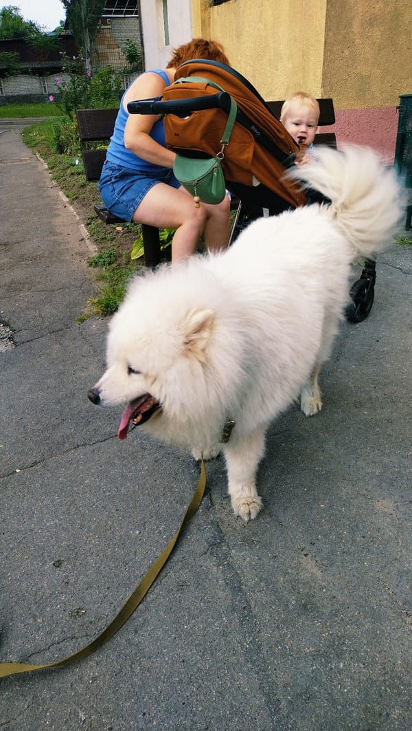 Everyday park scene in Horishni Plavni, Ukraine