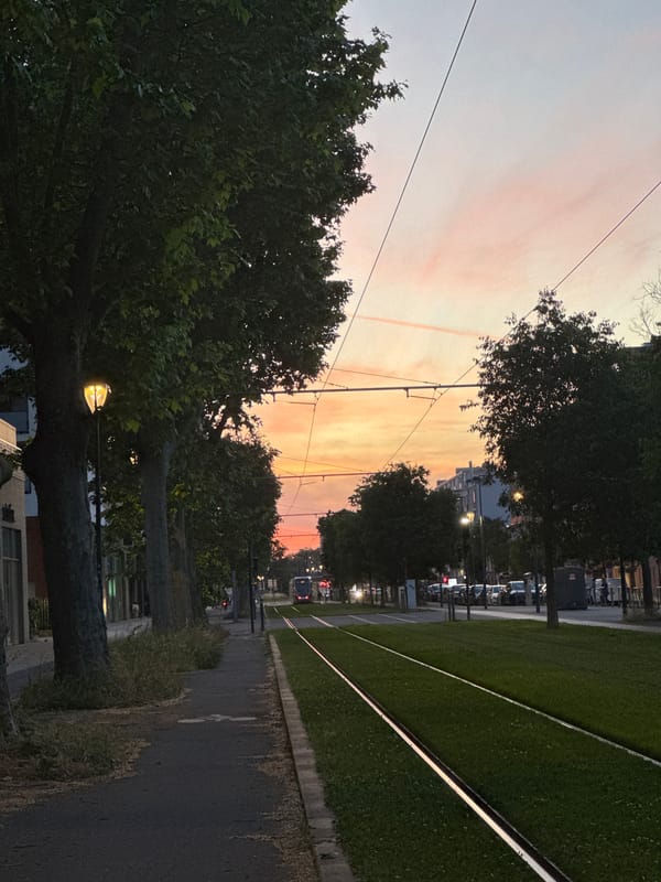 Evening tram operations documented in residential Toulouse at sunset