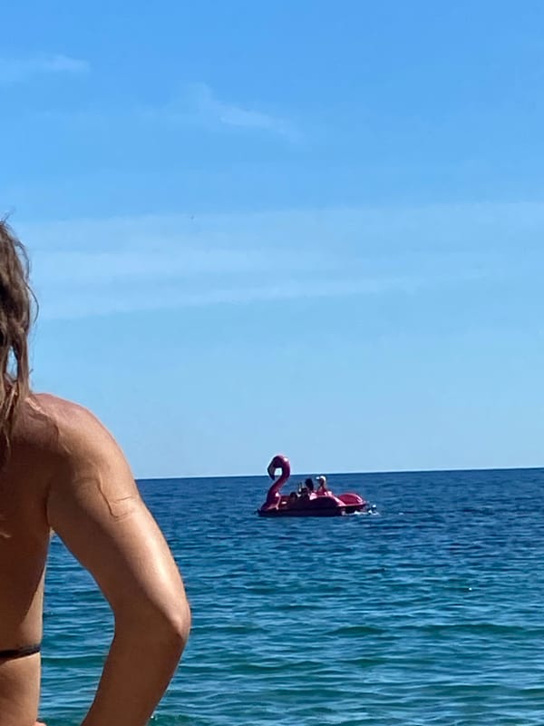 Clear skies draw swimmers, sunbathers to Budva beaches