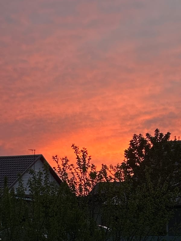 Sunset and residential scenes captured in Узюково, Russia
