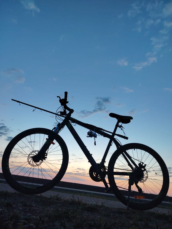 Cyclist with fishing rod travels Chaikovsky streets at dusk