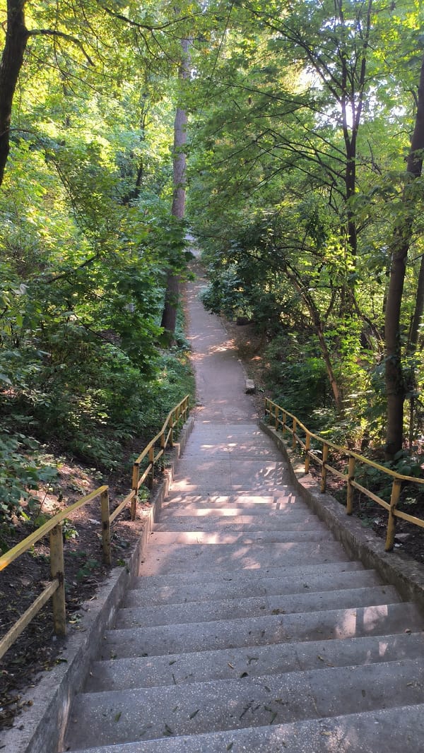 Afternoon in a Lviv park: swans, flowers, and strolling paths