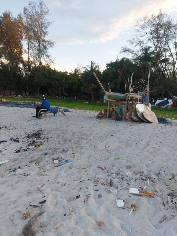 Beach cleanup effort documented along Dar es-Salaam coastline