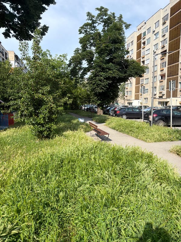 Ordinary afternoon moments captured across Ruse, Bulgaria