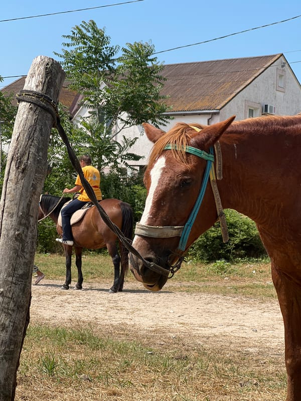 Casual horseback riding session in rural Ukraine