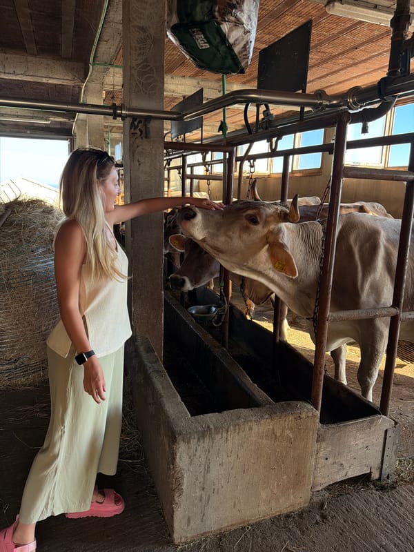 Woman and child visit Montenegro farms, interact with livestock