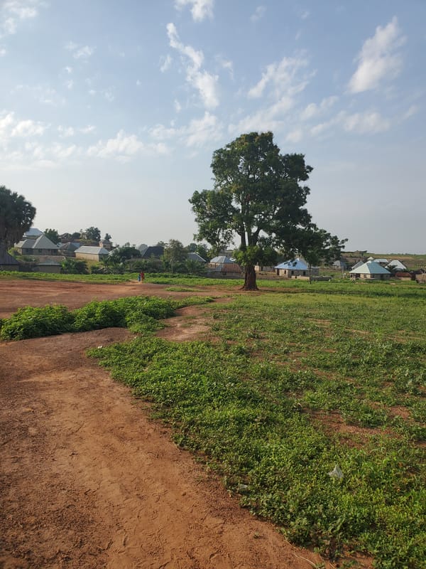 Morning life documented in rural Winters community