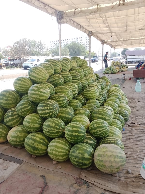Watermelon season at a Khujand roadside market
