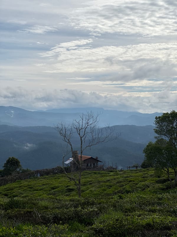 Rural Vietnam landscapes documented near Phát Chi overnight