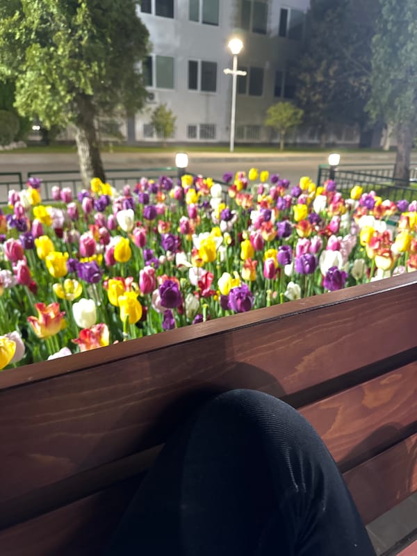 Two women enjoy evening among colorful tulips in Sofia