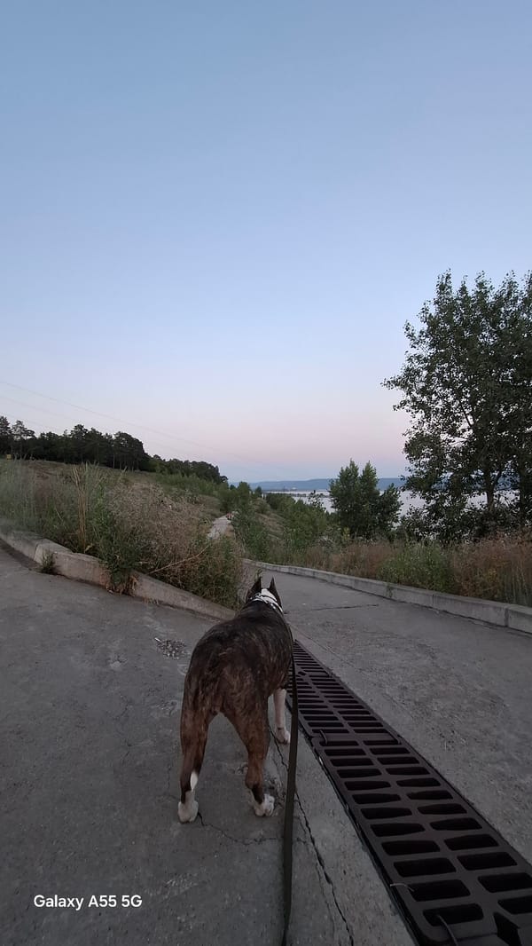 Dusk along the Volga: riverbank walk in Tolyatti