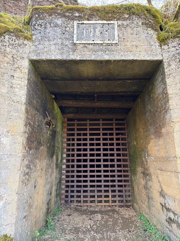 Overgrown concrete drainage structure observed in Pétange, Luxembourg