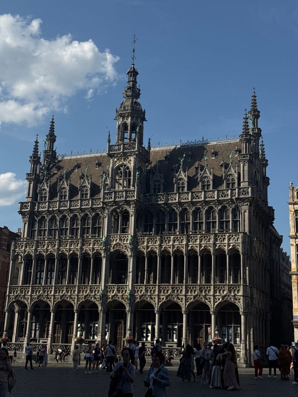 Afternoon stroll through Brussels' Grand Place and surrounding streets
