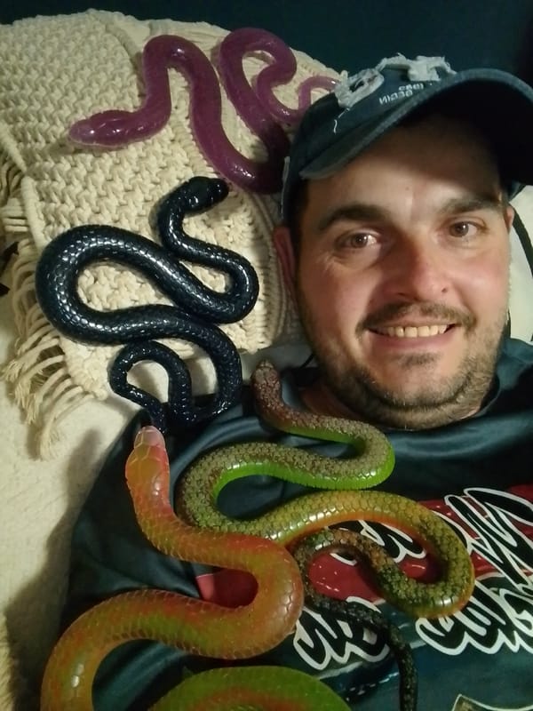 Toy snakes arranged on and around a person indoors in Wedel