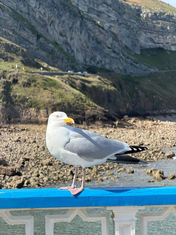 Sunny afternoon scenes captured at Llandudno Pier, Wales