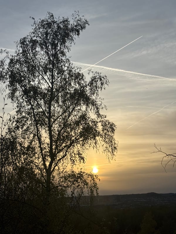 Dog in sunglasses, sunset captured in Luxembourg towns