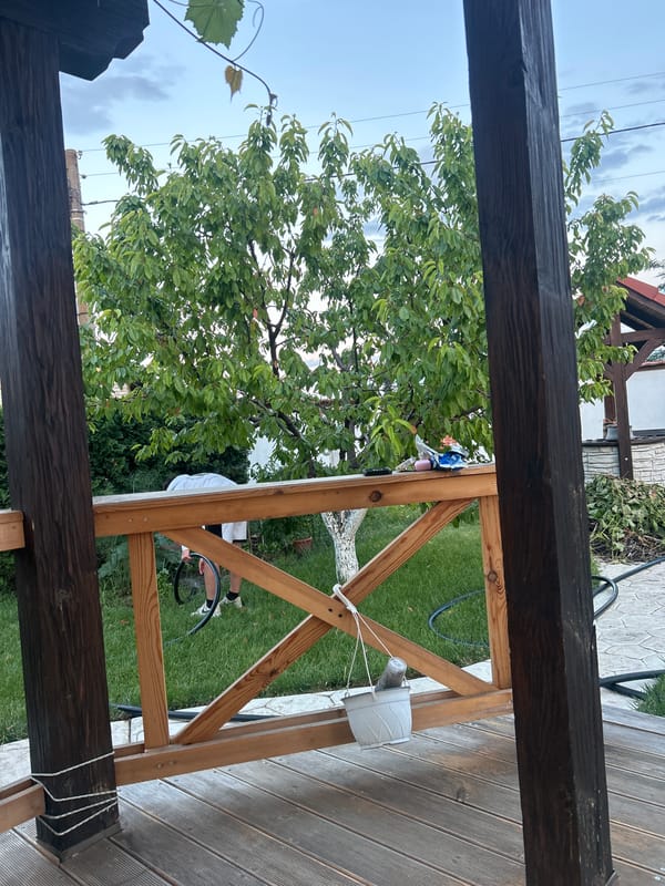Backyard evening in Войводино: deck, garden, and dusk light