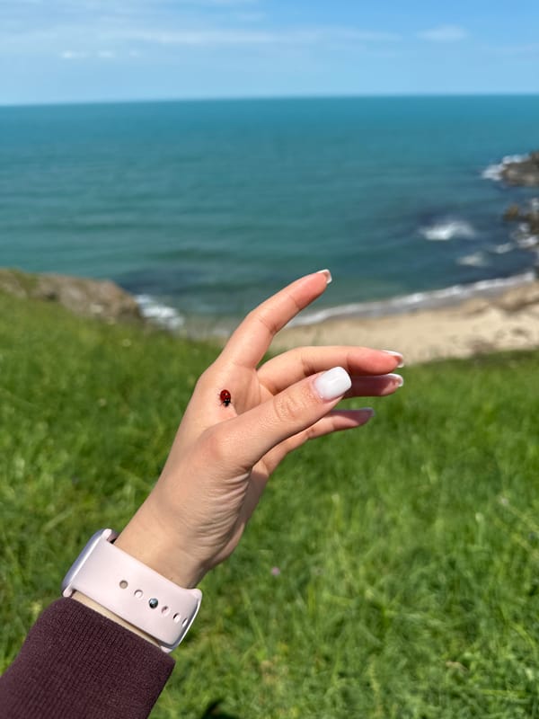 Ladybug lands on visitor's hand at Bulgarian Black Sea coast