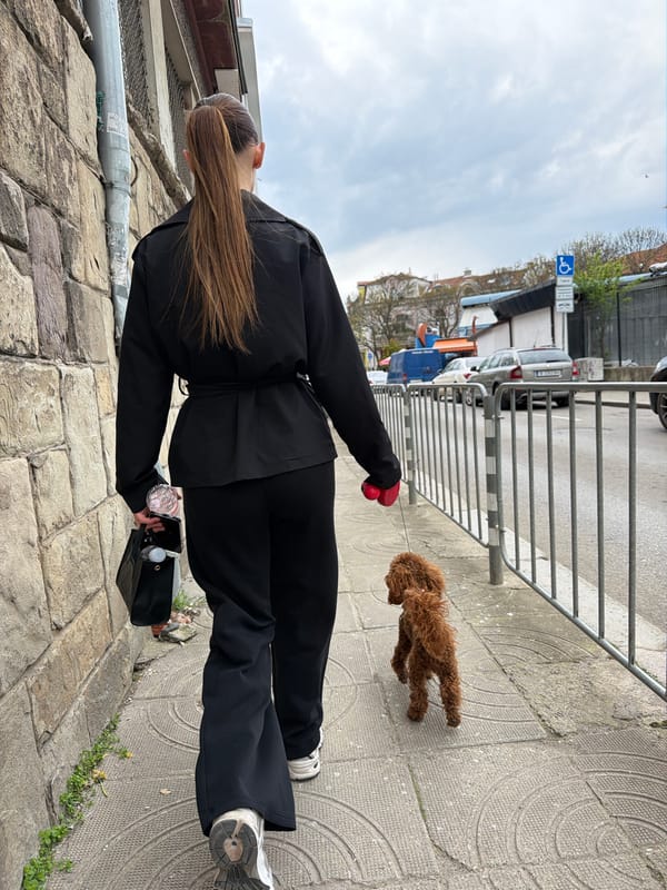 Person walks small dog on Sofia sidewalk