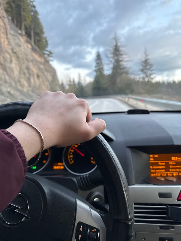 Driver captured at wheel of Opel vehicle in Smolyan